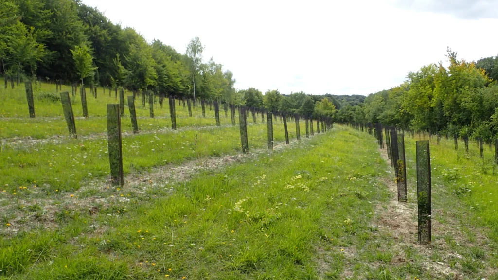 Bonnières (Oise) @CEN Hauts-de-France