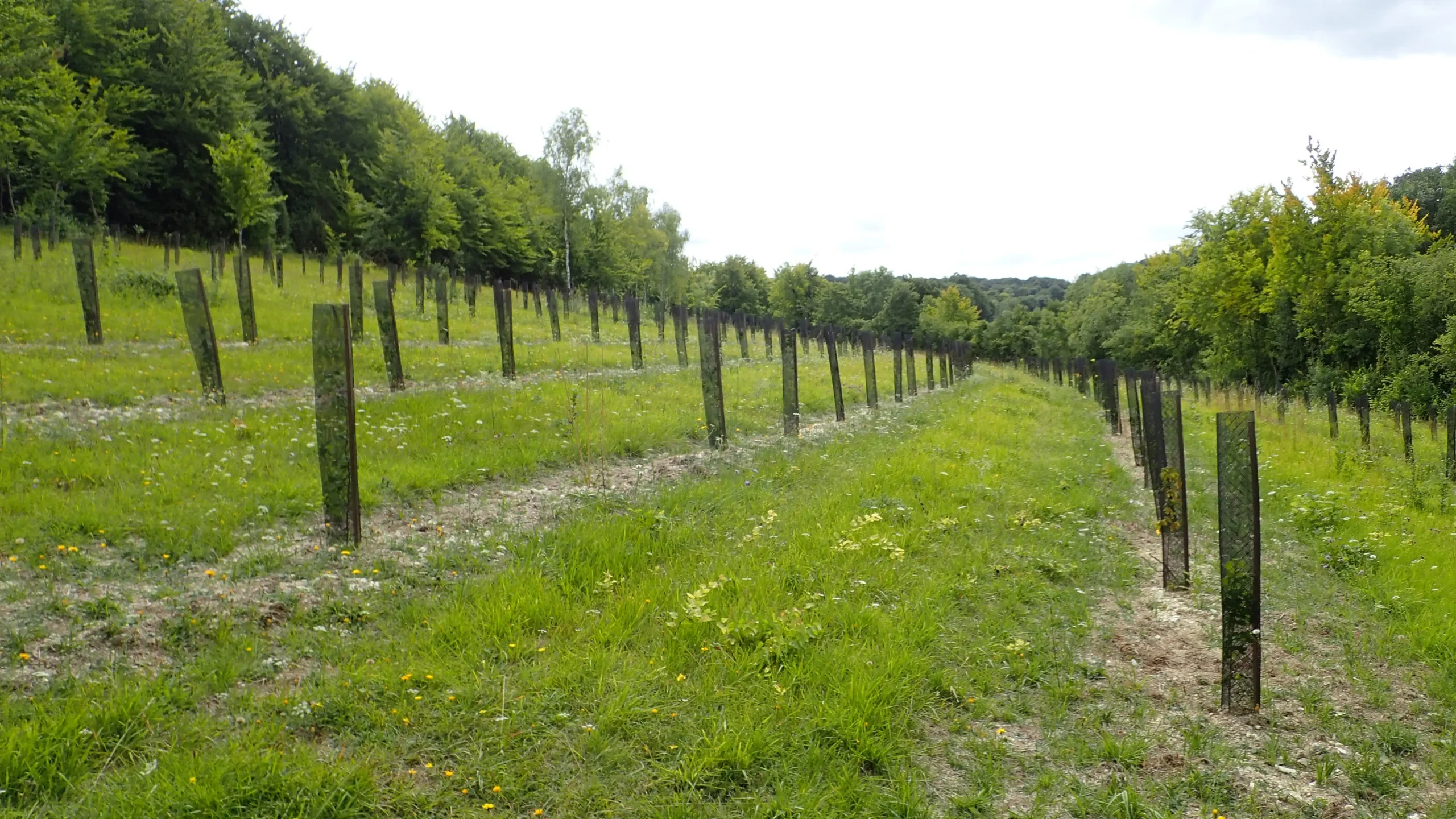 Bonnières (Oise) @CEN Hauts-de-France
