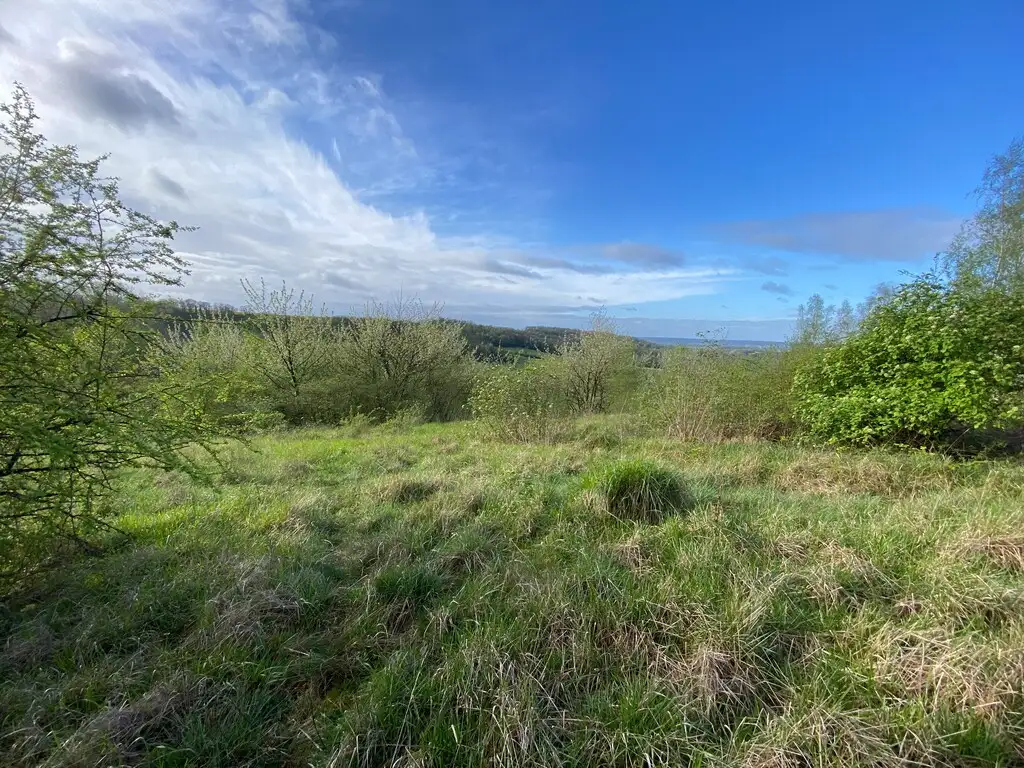 Larris du Rocher du Guet, Aizy-Jouy (Aisne)