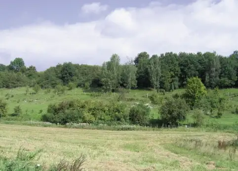 Larris et muche communale, Lanches-Saint-Hilaire (Somme)