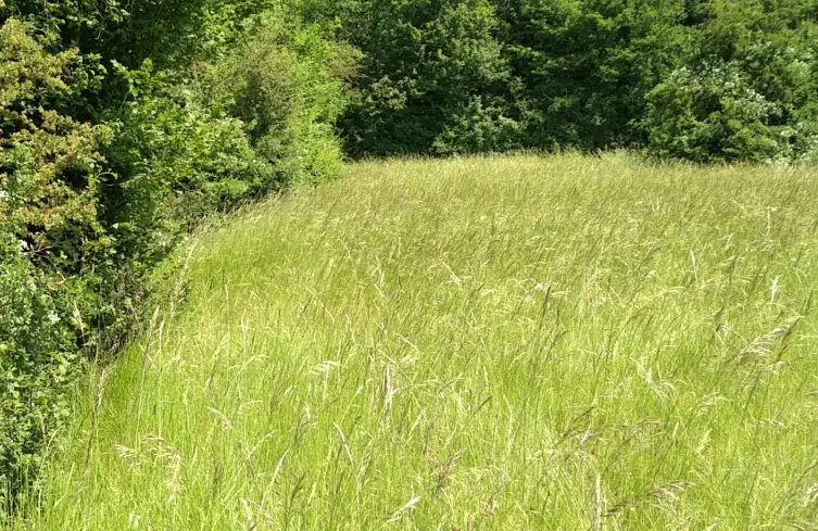 Le Bassin du Ruvet, Charly-sur-Marne et Saulchéry (Aisne)