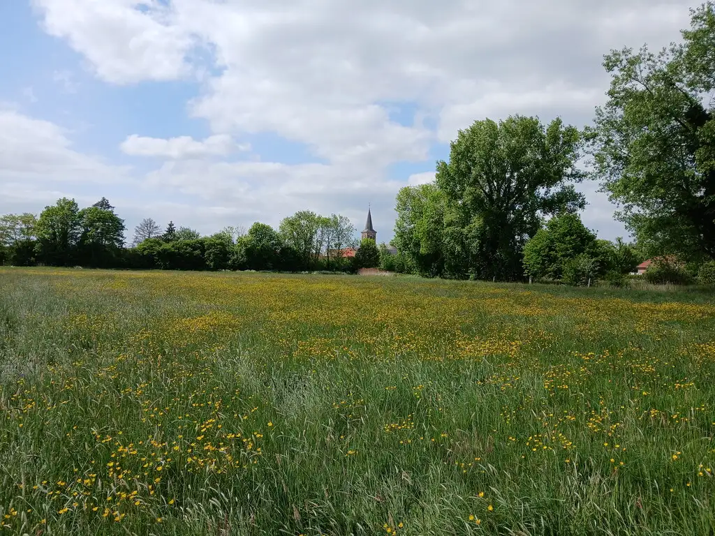 Le Bois de Saint-Landelin, Crespin (Nord)