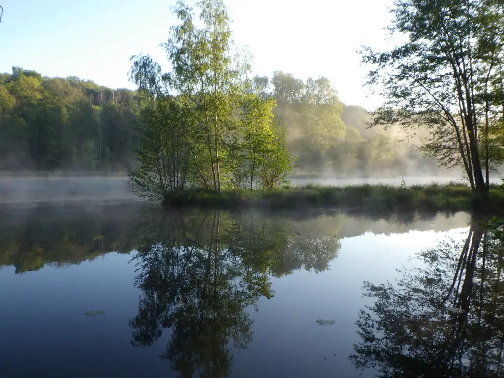 Le Fond de Vaufly, Coyolles (Aisne)