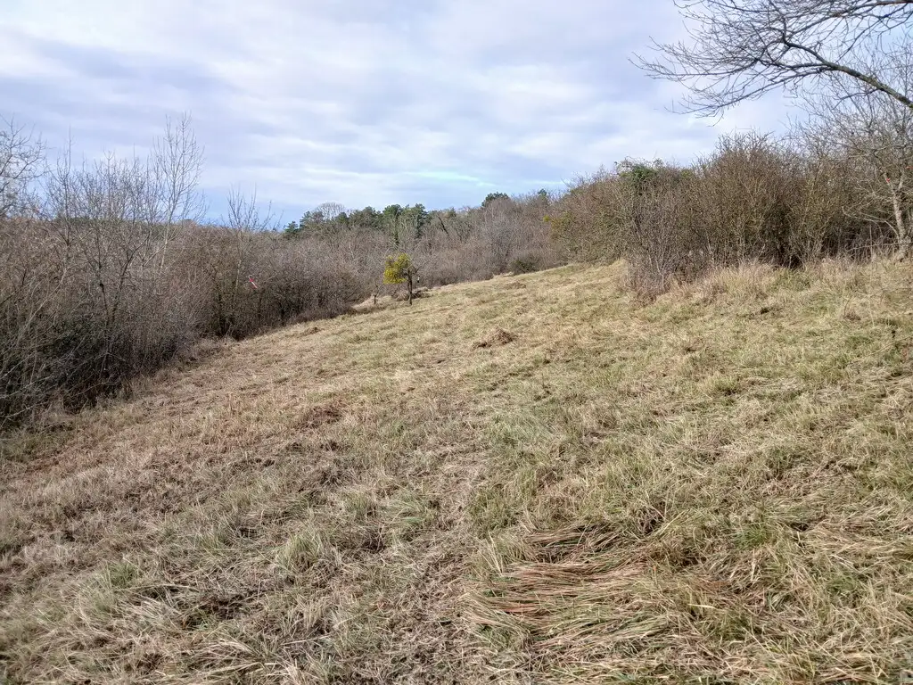 Le Grand Savart, Trucy (Aisne)