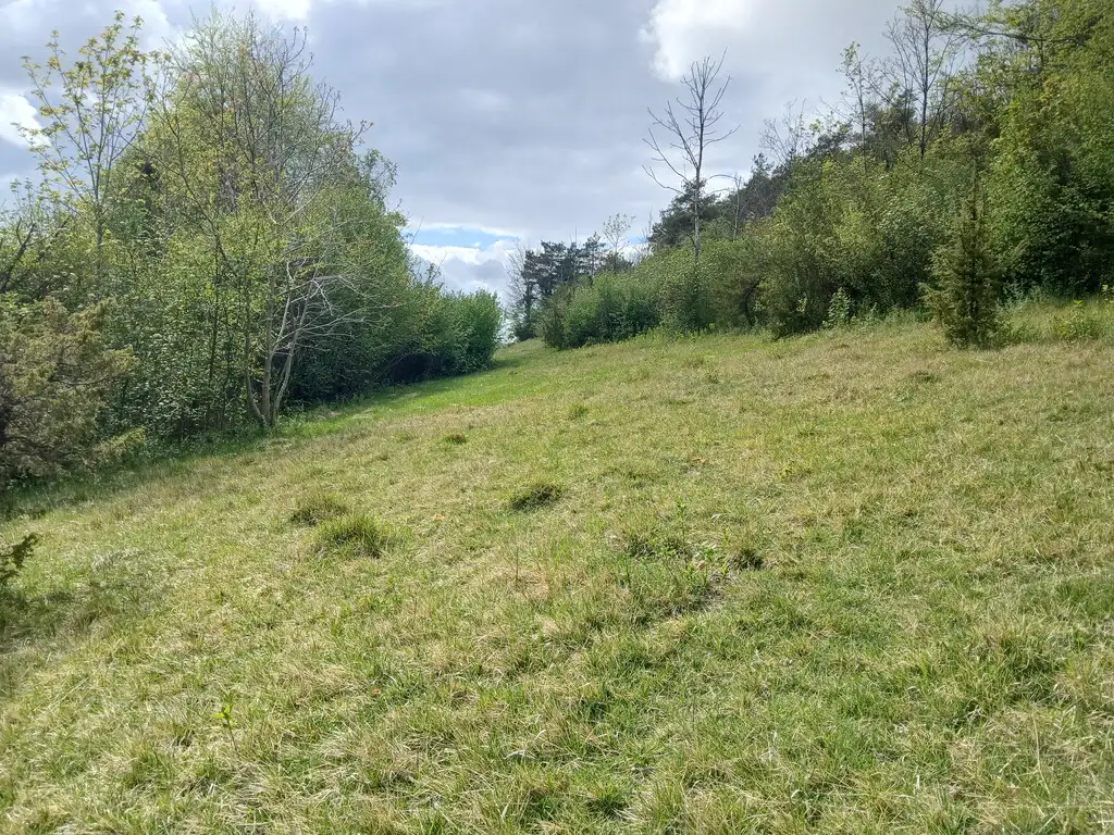 Le Larris de Le Mazis (Somme)