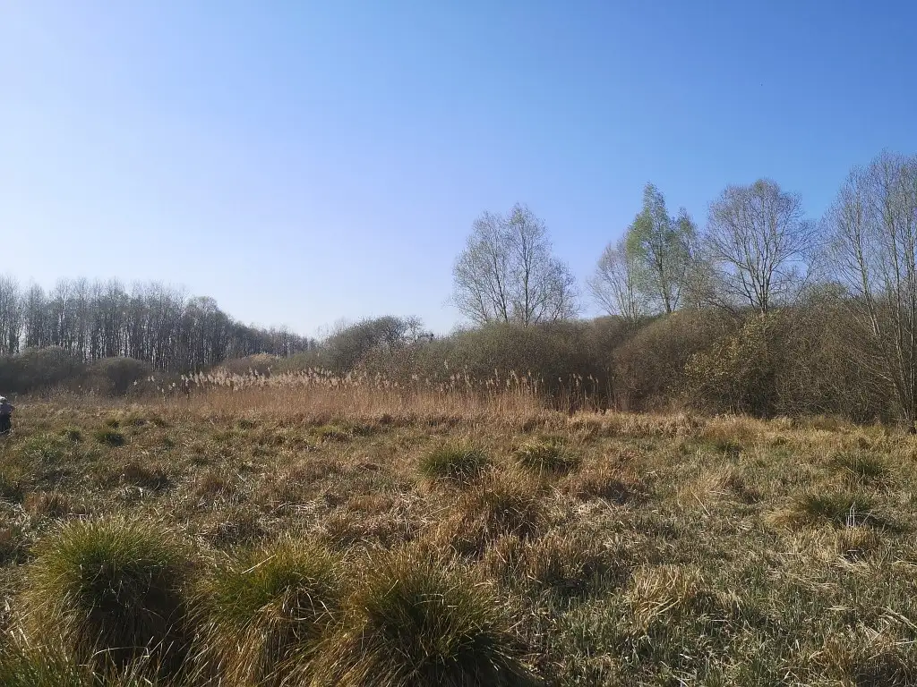 Le Marais Monchy-Humières (Oise)