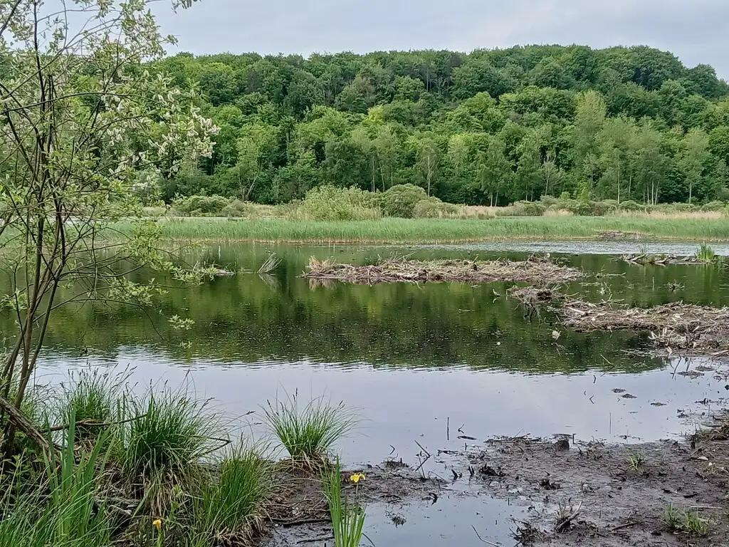 Le Marais de Hailles (Somme)