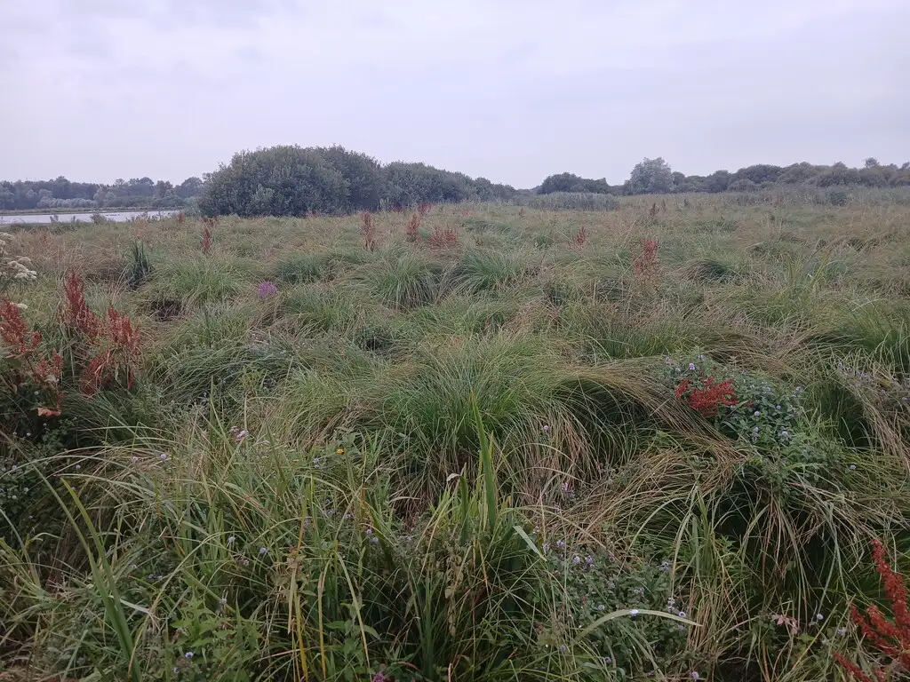 Le Marais de Roussent (Pas-de-Calais)