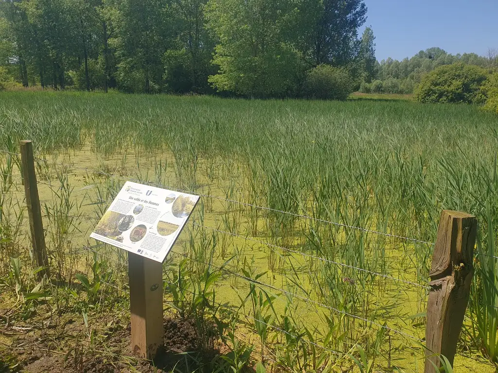 Le Marais de Tigny-Noyelle (Pas-de-Calais)