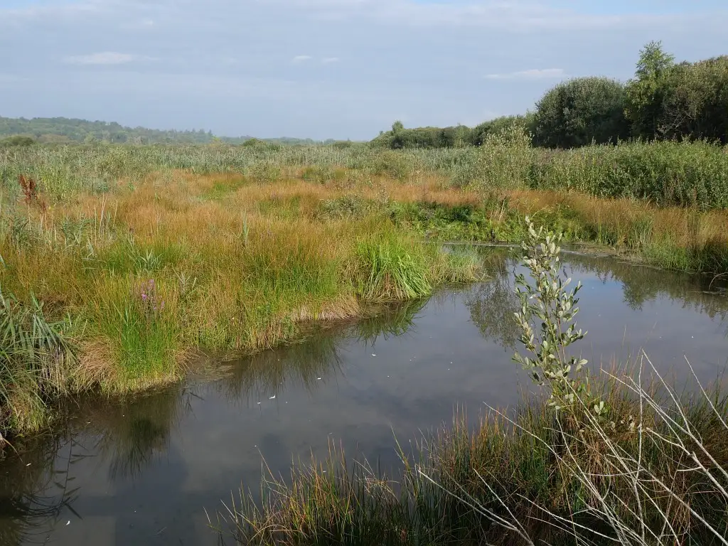 Le Marais de la Chaussée, La Chaussée-Tirancourt (Somme)