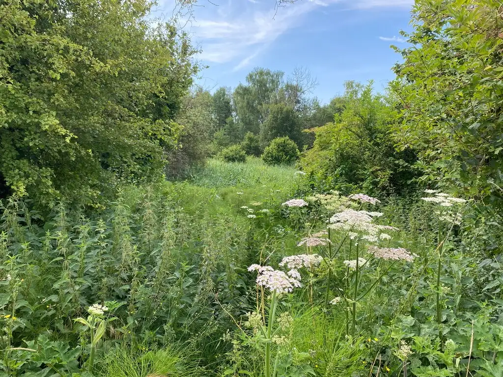 Le Marais des Crouttes, Oulchy-le-Chateau (Aisne)