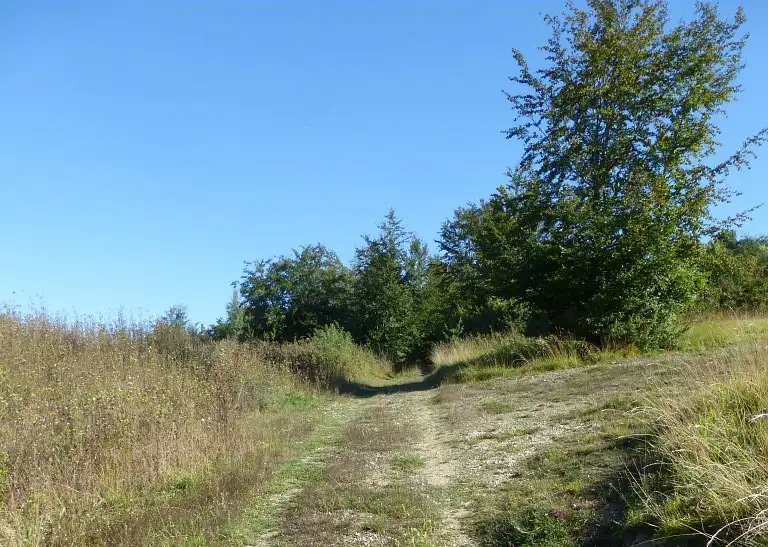 Le Mesnil-sur-Bulles (Oise)