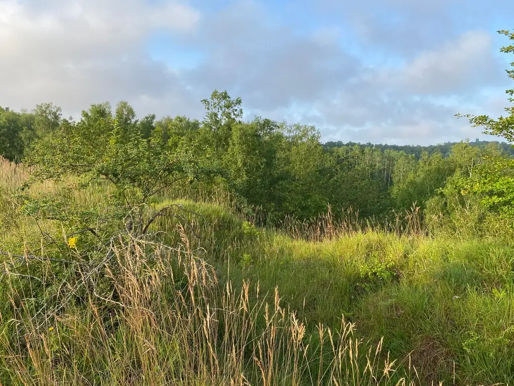 Le Mont de Fer, Cerny-en-Laonnois (Aisne)