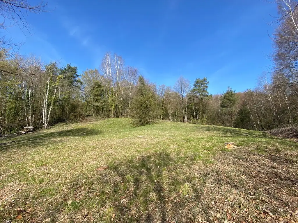 Le Moulin Régina, Aizelles (Aisne)