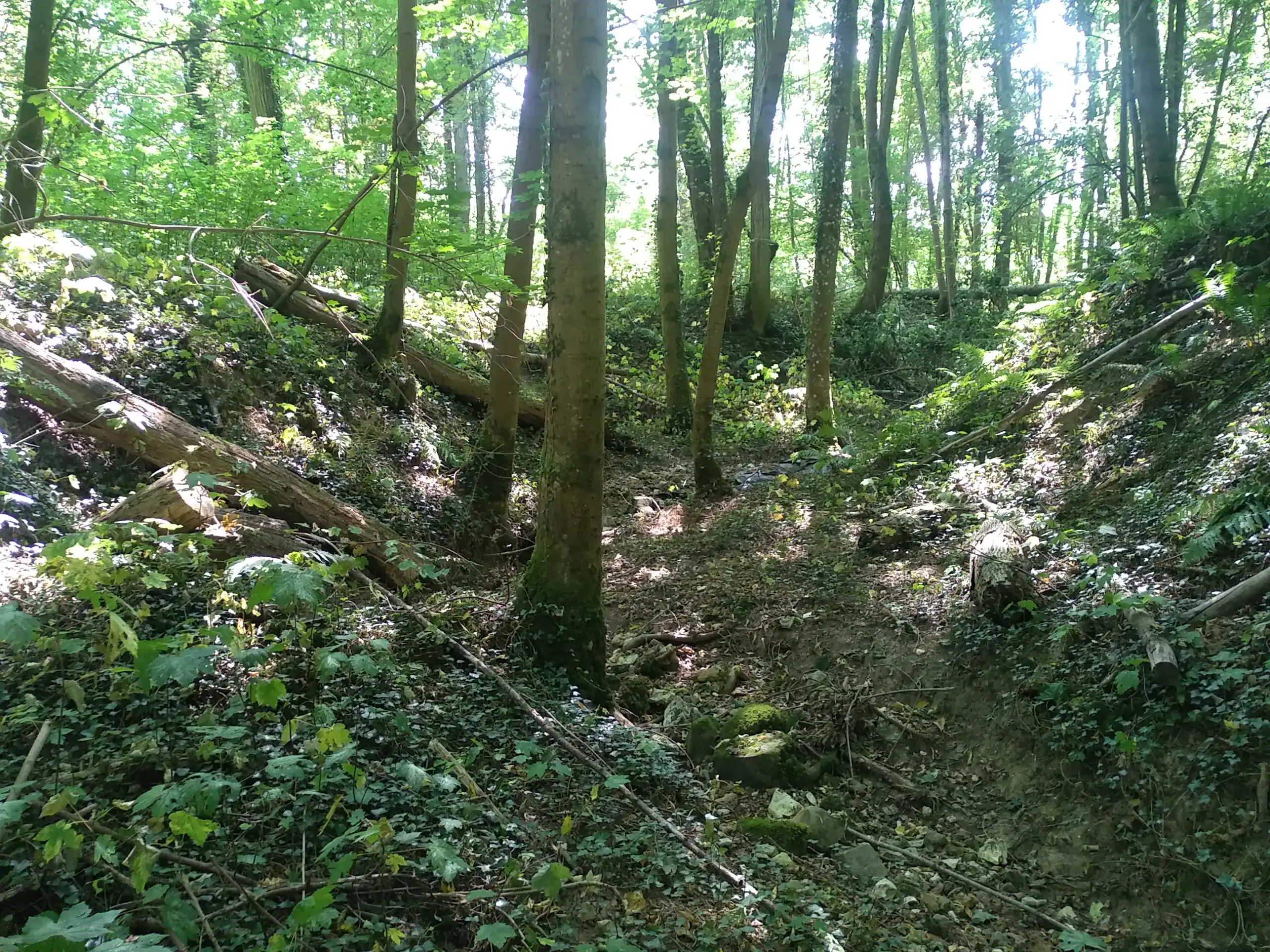 Le Parc du Château, Epaux-Bezu (Aisne)