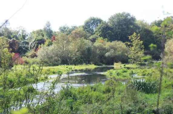 Le Petit Marais, Mont-L'Evêque (Oise)