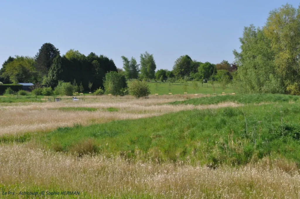 Le Pré d'Achicourt (Pas-de-Calais)