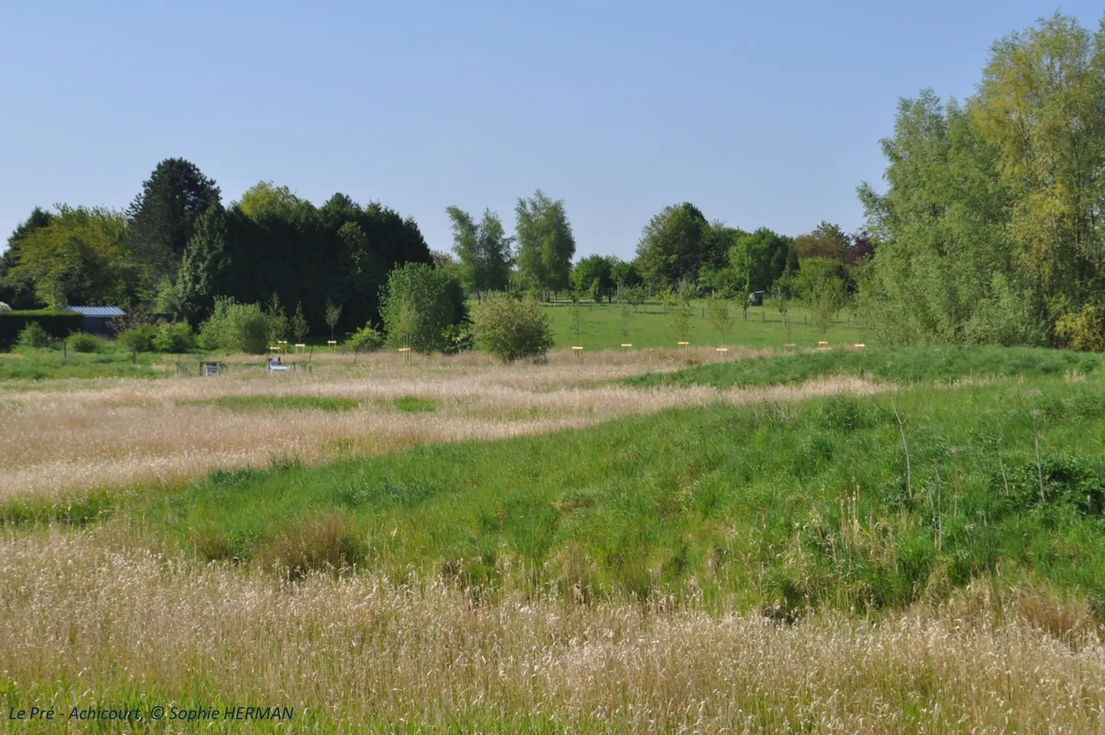 Le Pré d'Achicourt (Pas-de-Calais)