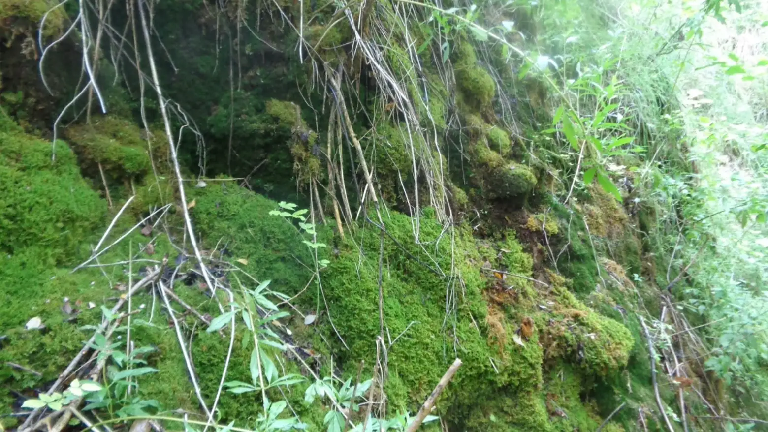 Le Ragrenet, Chezy-sur-Marne (Aisne)