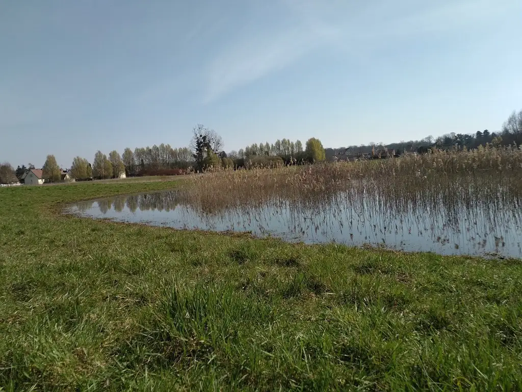 Le Trou Boully, Le Plessis-Brion (Oise)