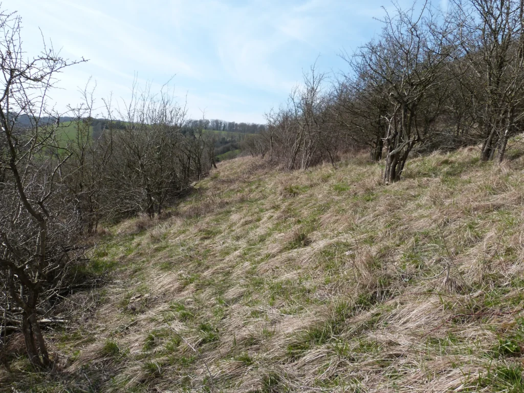 Le Ventus d'Alembon (Pas-de-Calais)
