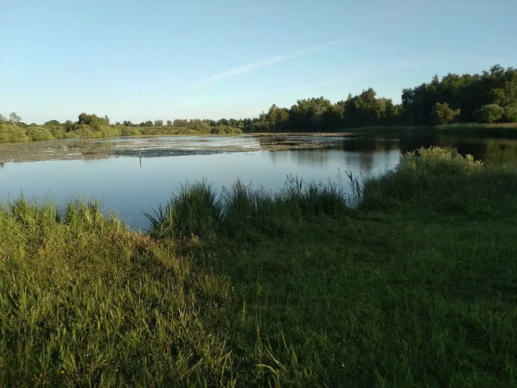 Les Communaux de Marchais (Aisne)