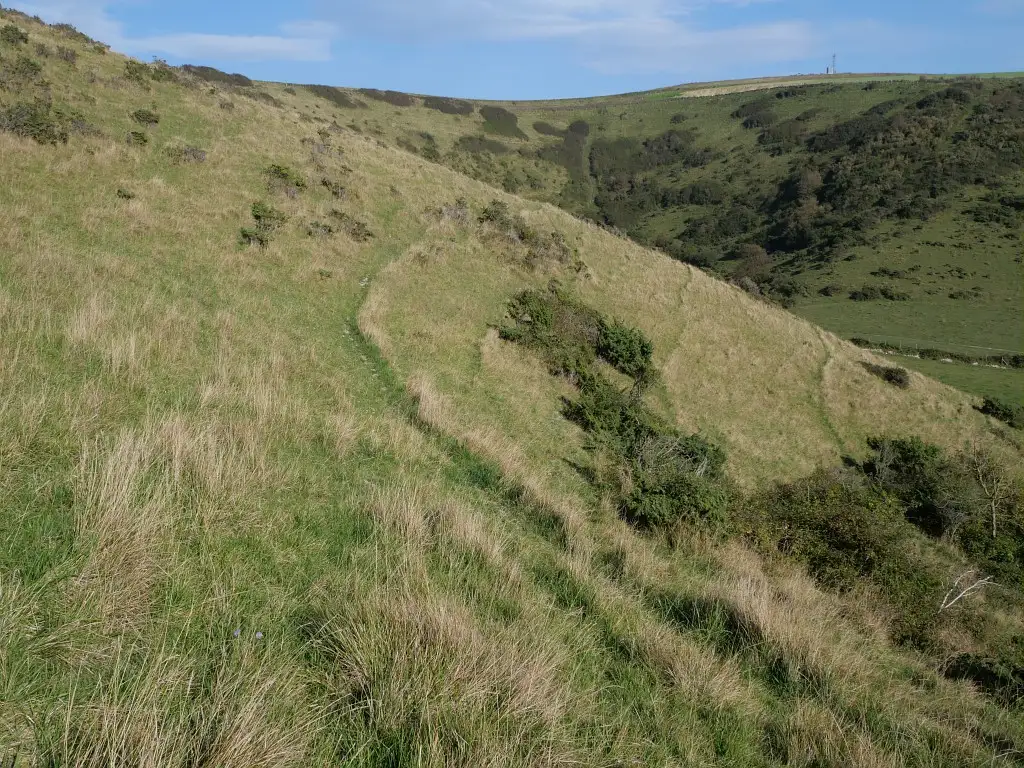 Les Coteaux de Dannes-Camiers (Pas-de-Calais)