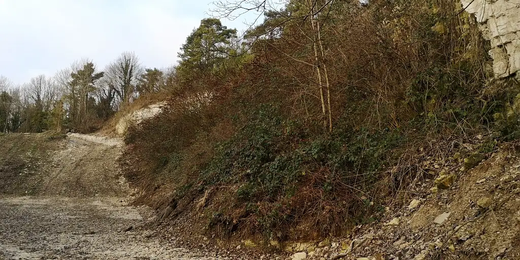 Les Cottes, Lafresguimont-Saint-Martin (Somme)