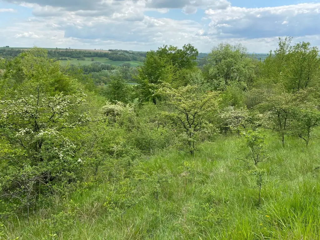Photo du paysage des Creuttes de Moulins à Paissy (Aisne)