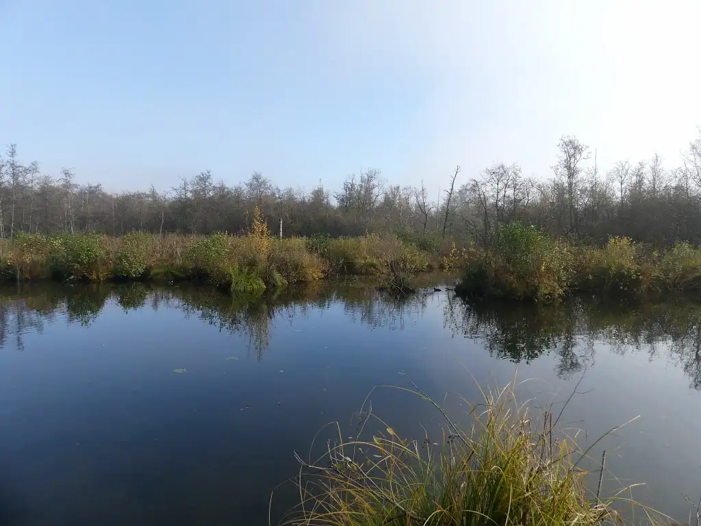 Les Etangs de la Chaussée-Barrage - Eclusier-Vaux (Somme)