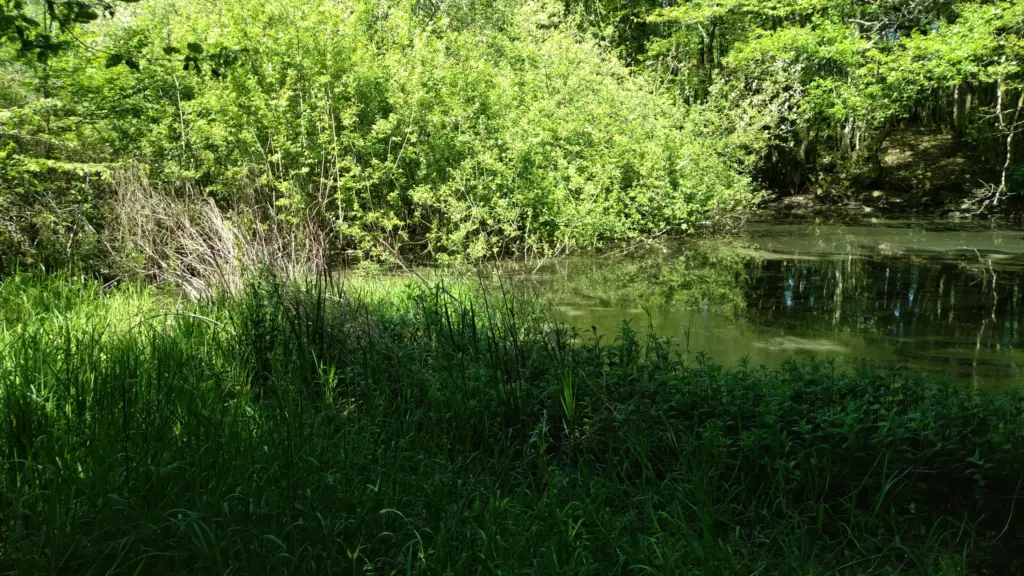 Les Guillomets, Domptin (Aisne)