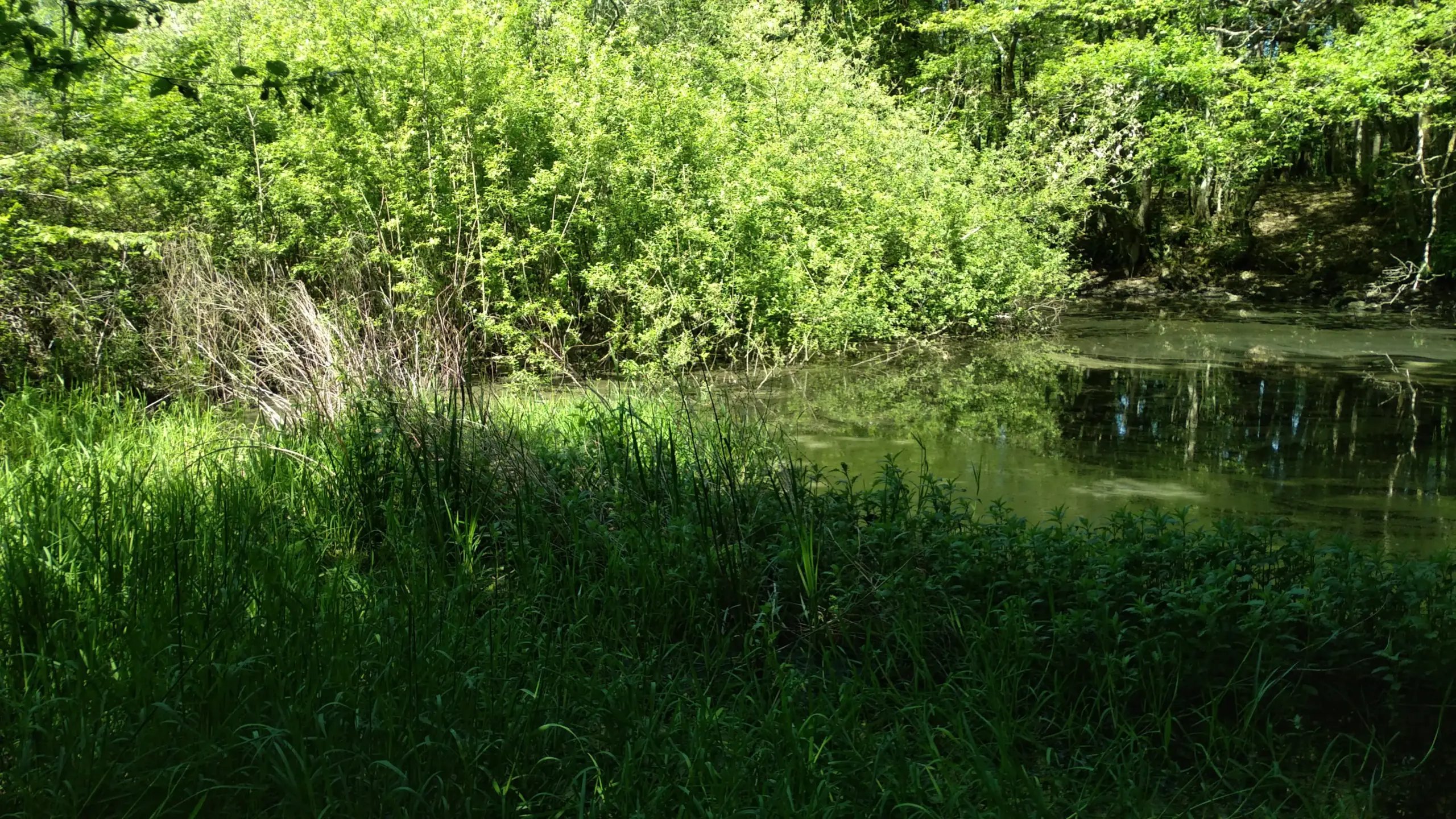 Les Guillomets, Domptin (Aisne)