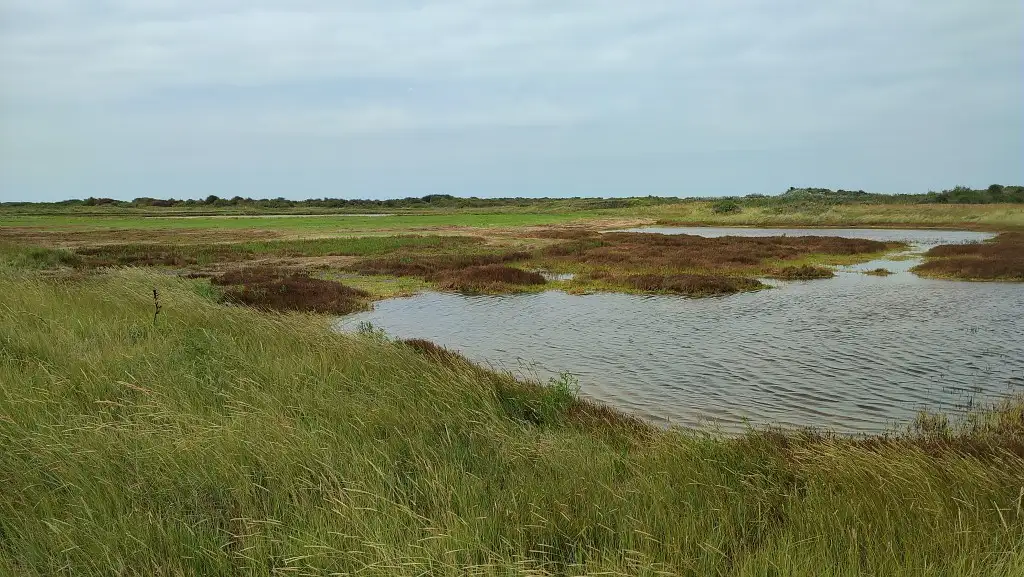 Les Hemmes de Marck (Pas-de-Calais)