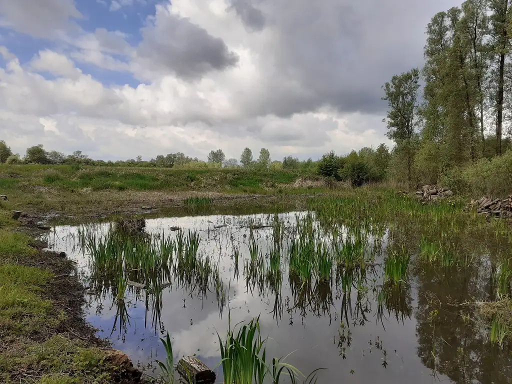 Les Lagunes de Fresnes-sur-Escaut, Escautpont (Nord)