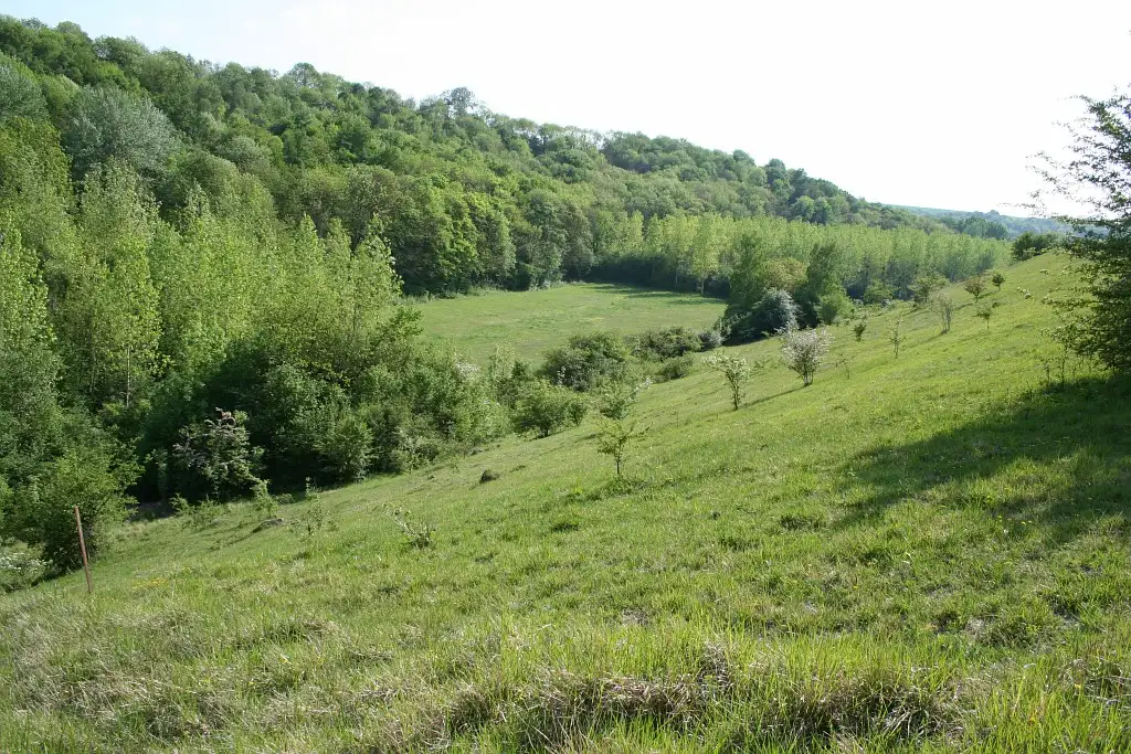 Les Larris de Moulin-sous-Touvent (Oise)