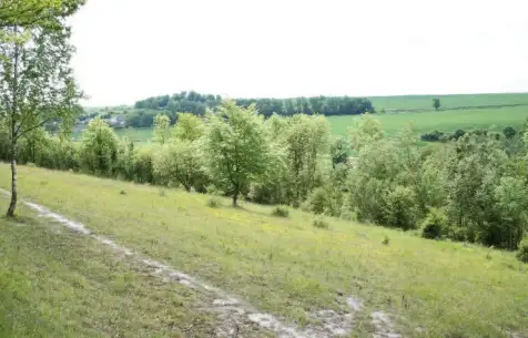 Les Larris des Terres Blanches, Marseille-en-Beauvaisis (Oise)
