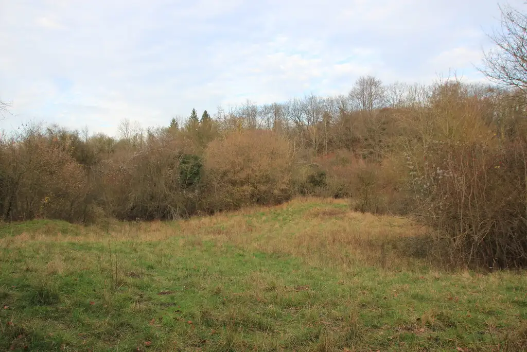 Les Montagnes / Larris de Chipilly (Somme)