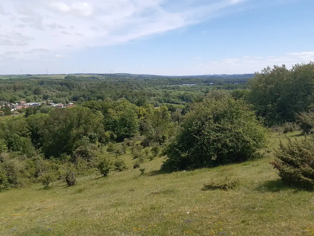 Les Monts de Caubert (partie privée), Mareuil-Caubert (Somme)