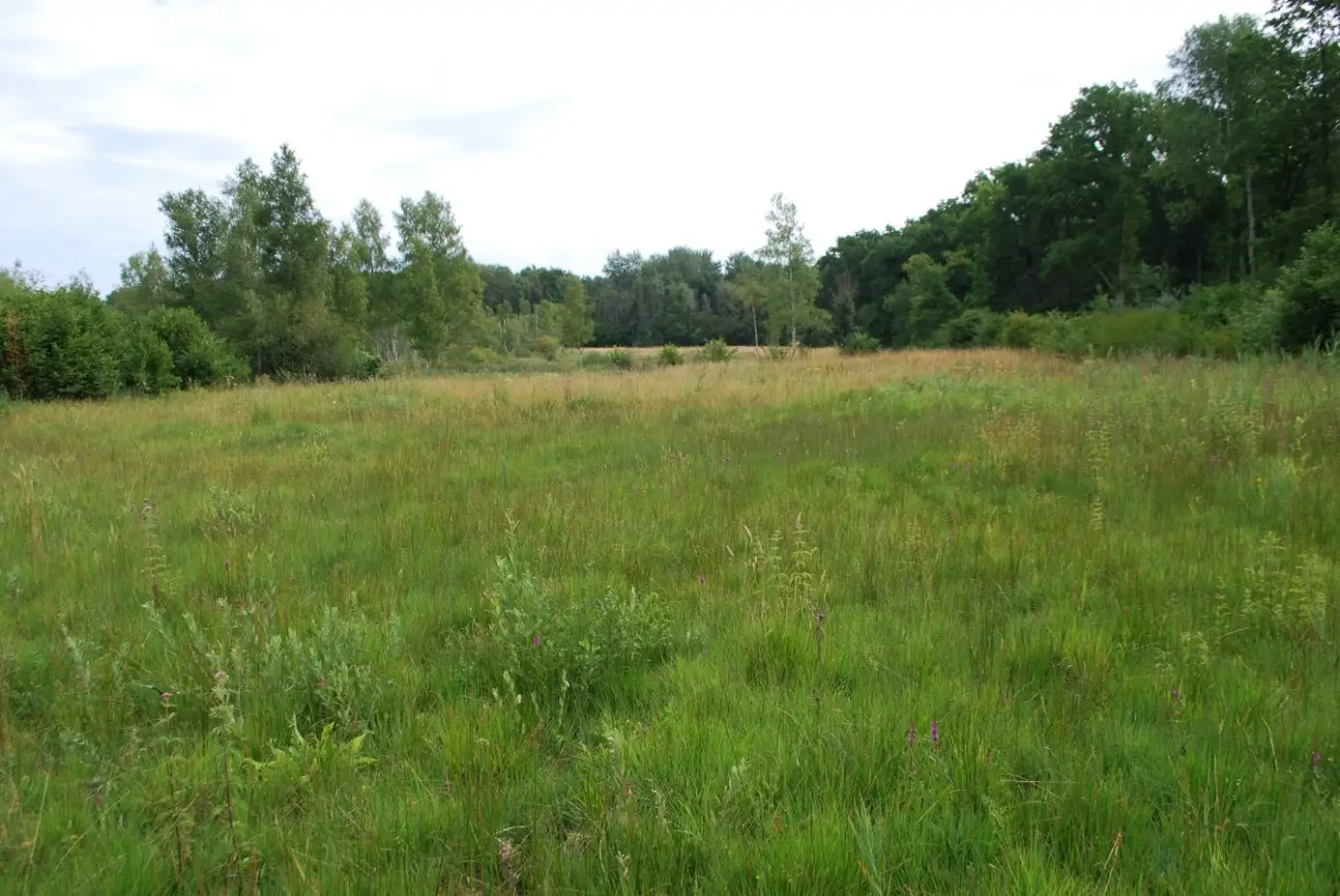 Les Pâtures, Beaurieux (Aisne)