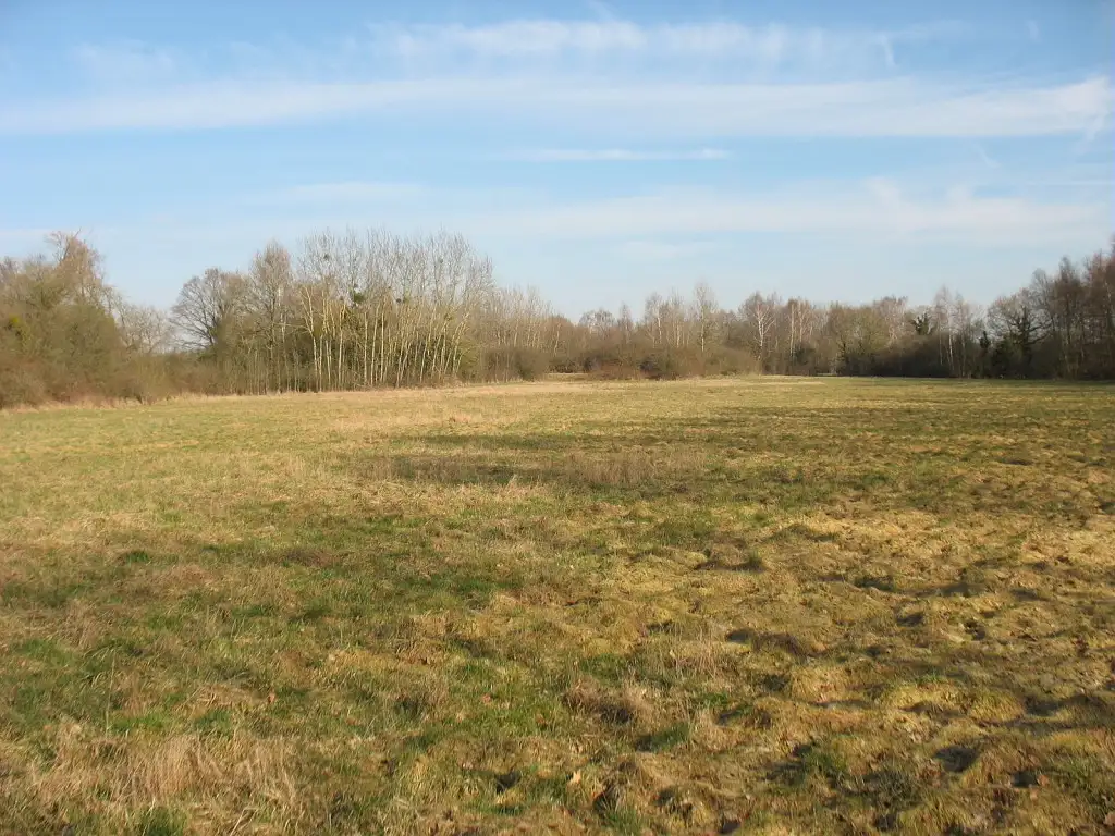 Les Pelouses des Muternes, Veslud (Aisne)