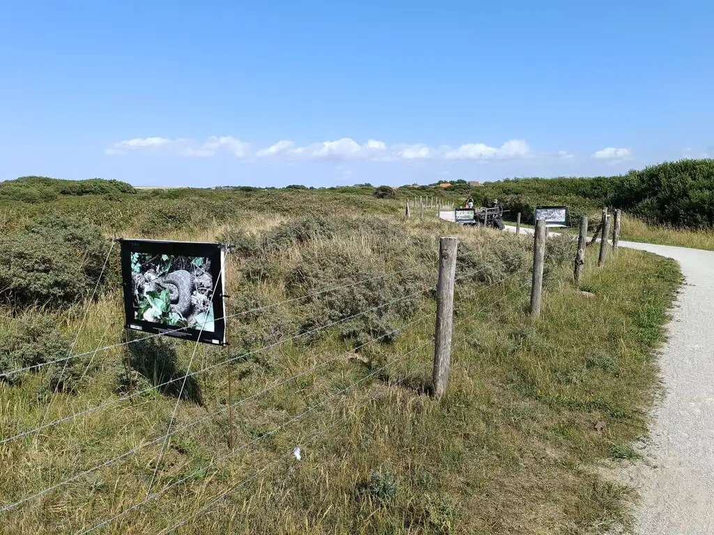 Les Petits Prés de la Slack, Ambleteuse (Pas-de-Calais)