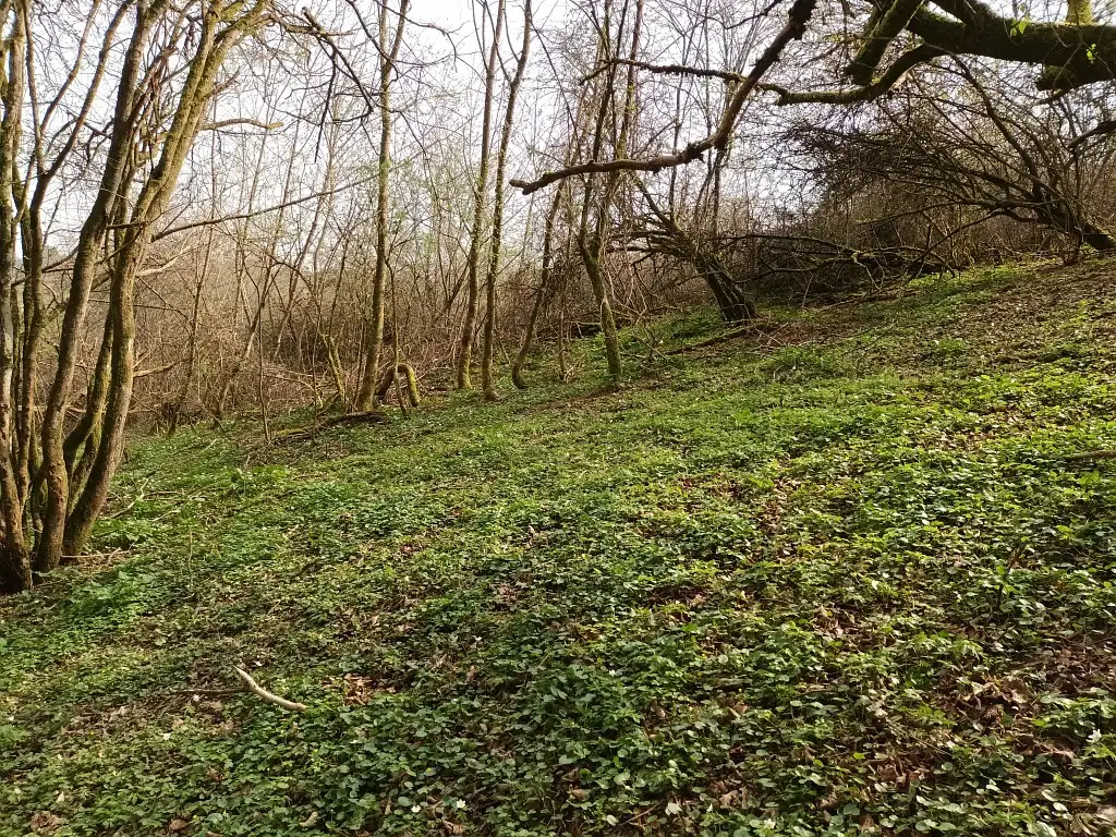 Les Prairies d'Eppe-Sauvage (Nord)