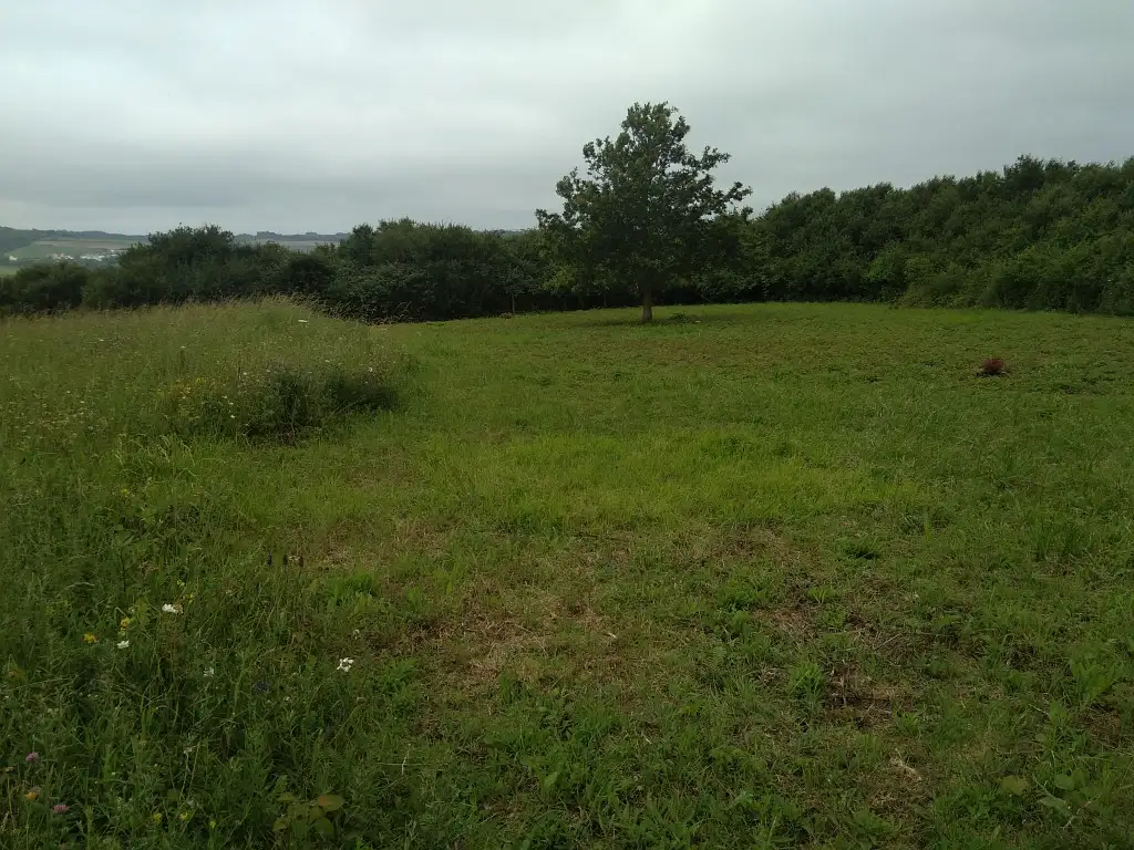Photographie des Prairies d'Isques (Pas-de-Calais)