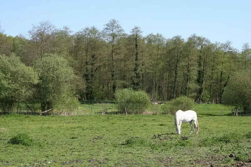 Les Prairies de la Thève, Plailly - Thiers-sur-Thève (Oise)