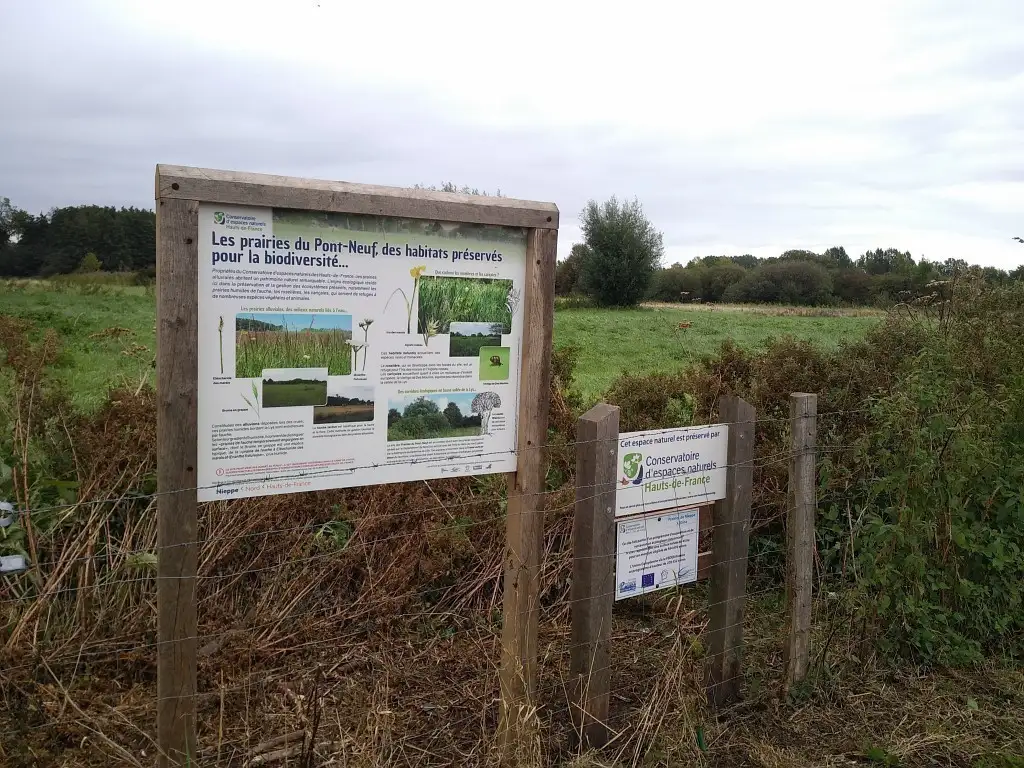 Les Prairies du Pont-Neuf, Nieppe (Nord)