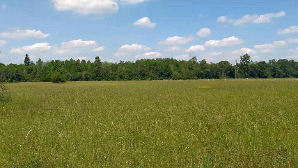 Les Prairies inondables de Noyon (Oise)