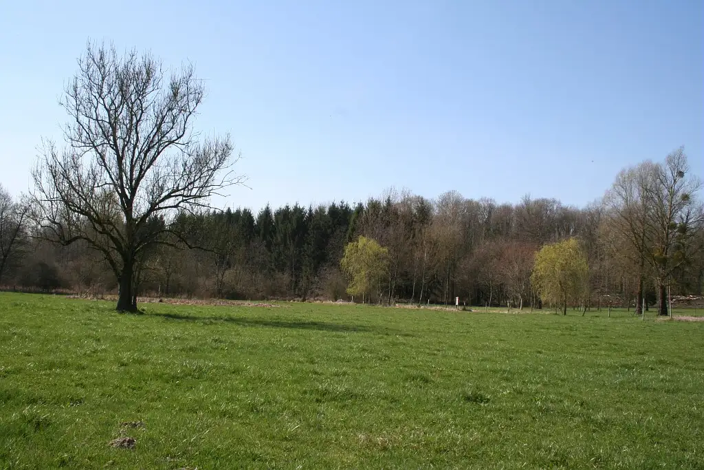 Les Prairies sous le Bochet - Grandrieux - Résigny (Aisne)