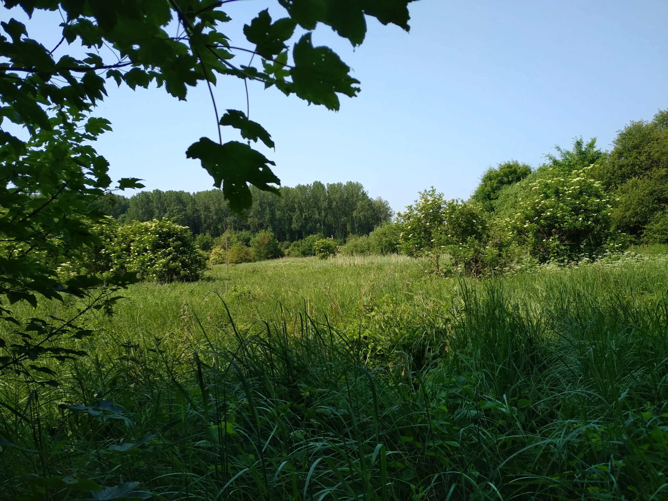 Les Près Lecomte, Onnaing (Nord)