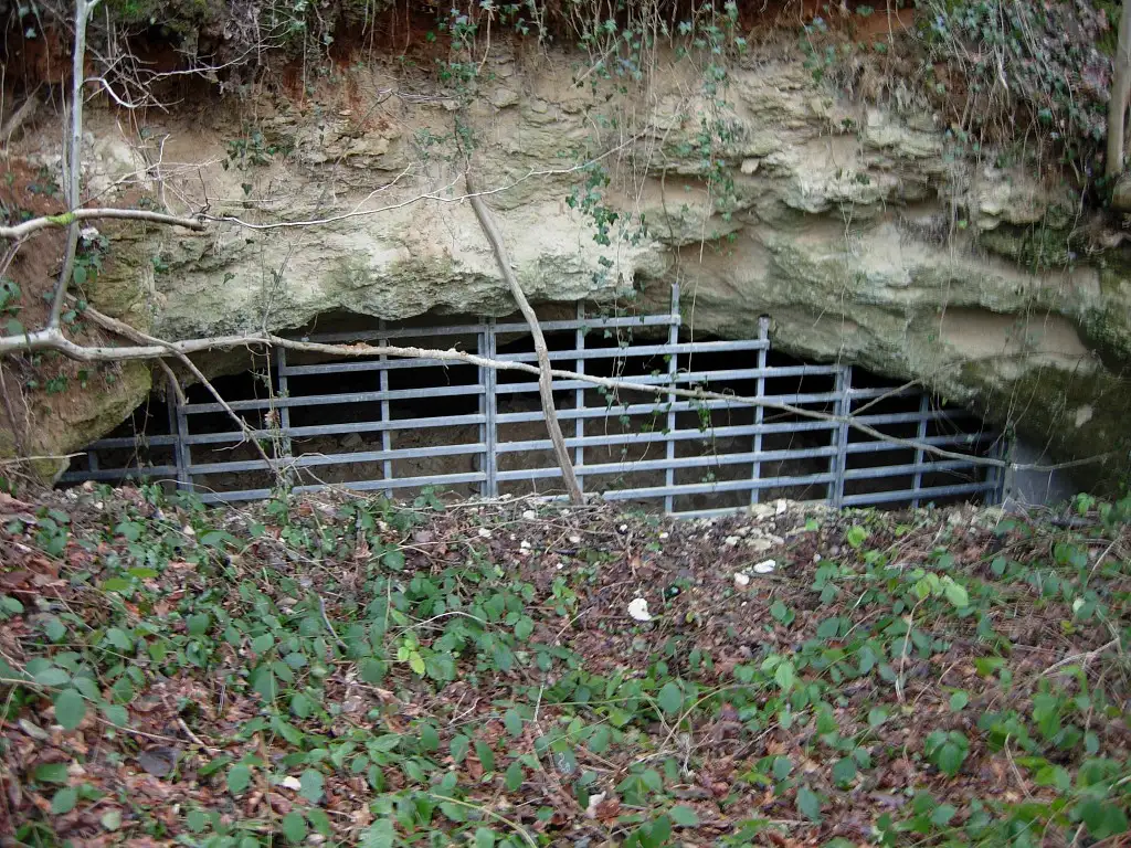 Les Sites à chauve-souris de Brie (Aisne)
