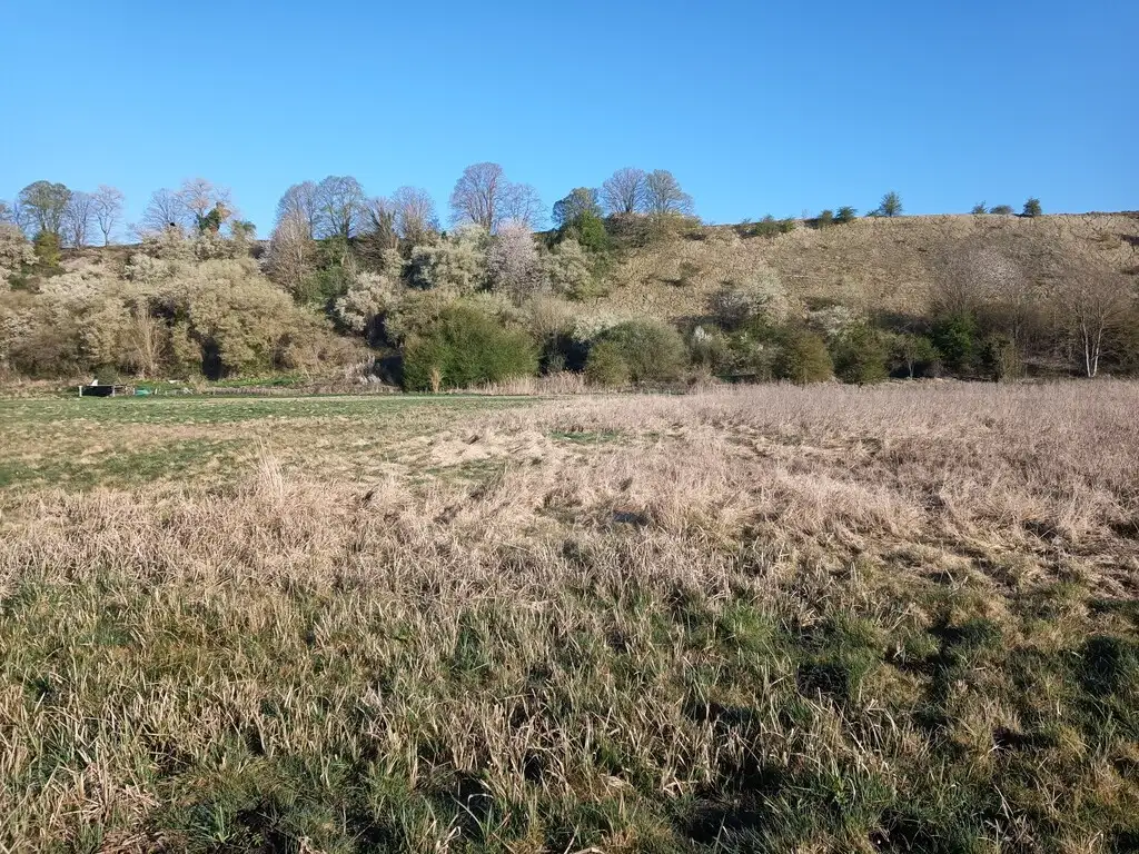 Les communaux de Daours (Somme)
